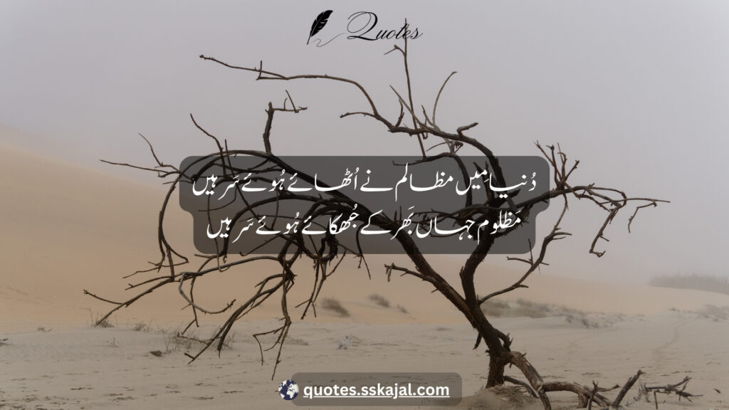 heart touching sad poetry in urdu text duniya meen mazalm ne uthaye huye sar hen